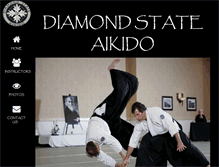 Tablet Screenshot of diamondstateaikido.com